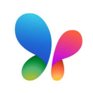 MSN